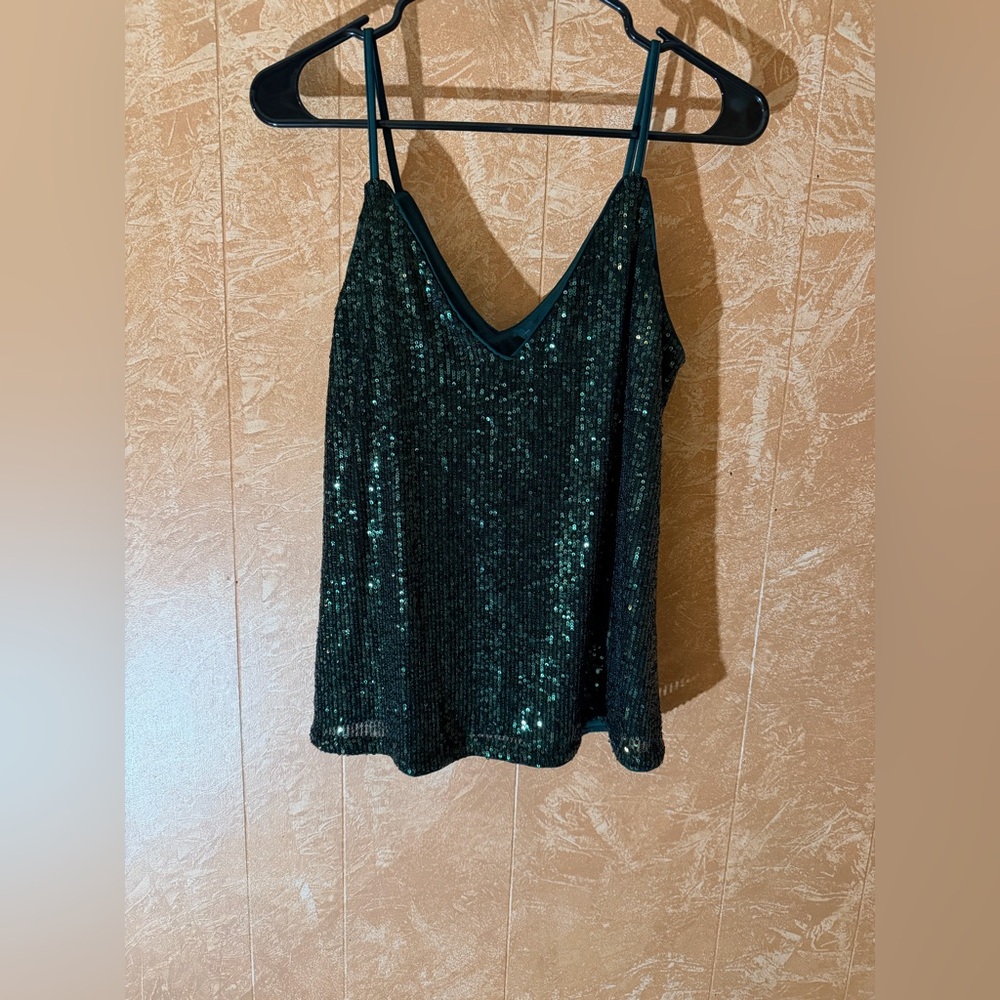 Express Emerald Sequin Camisole